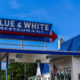 The Delta Chronicles: The Blue and White
